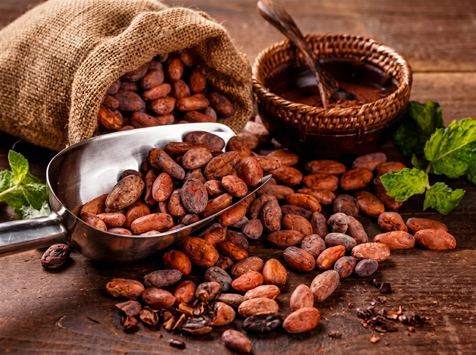 Cacao fino de aroma